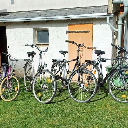 Ferienwohnung Fam. Schade Beilrode Buitenkant foto