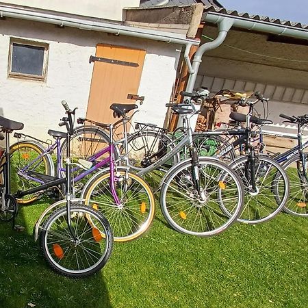 Ferienwohnung Fam. Schade Beilrode Buitenkant foto