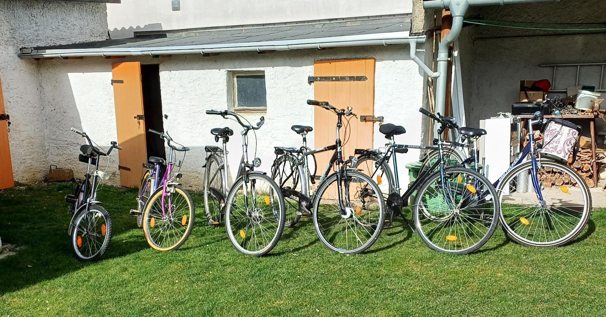 Ferienwohnung Fam. Schade Beilrode Buitenkant foto